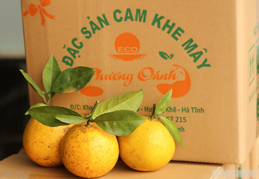 Cam khe mây Hà Tĩnh là loại quả ngon của vùng núi Hương Đô