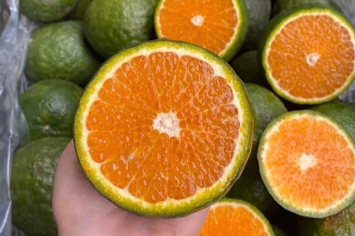 Những quả cam sành căng mọng chứa đầy chất dinh dưỡng